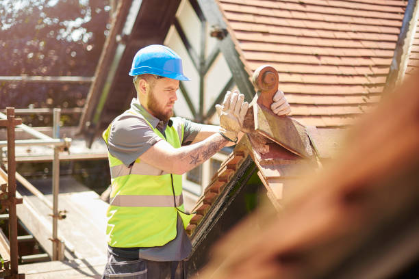 Best Roof Gutter Cleaning  in Manchester, KY